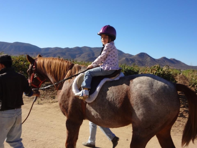 Exeriencias para todos